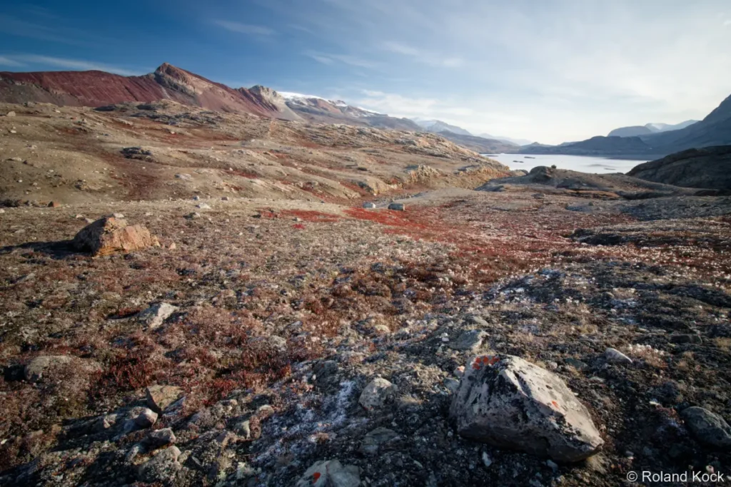 Blomsterbugt im Nordost-Grönland-Nationalpark Foto: Roland Kock
